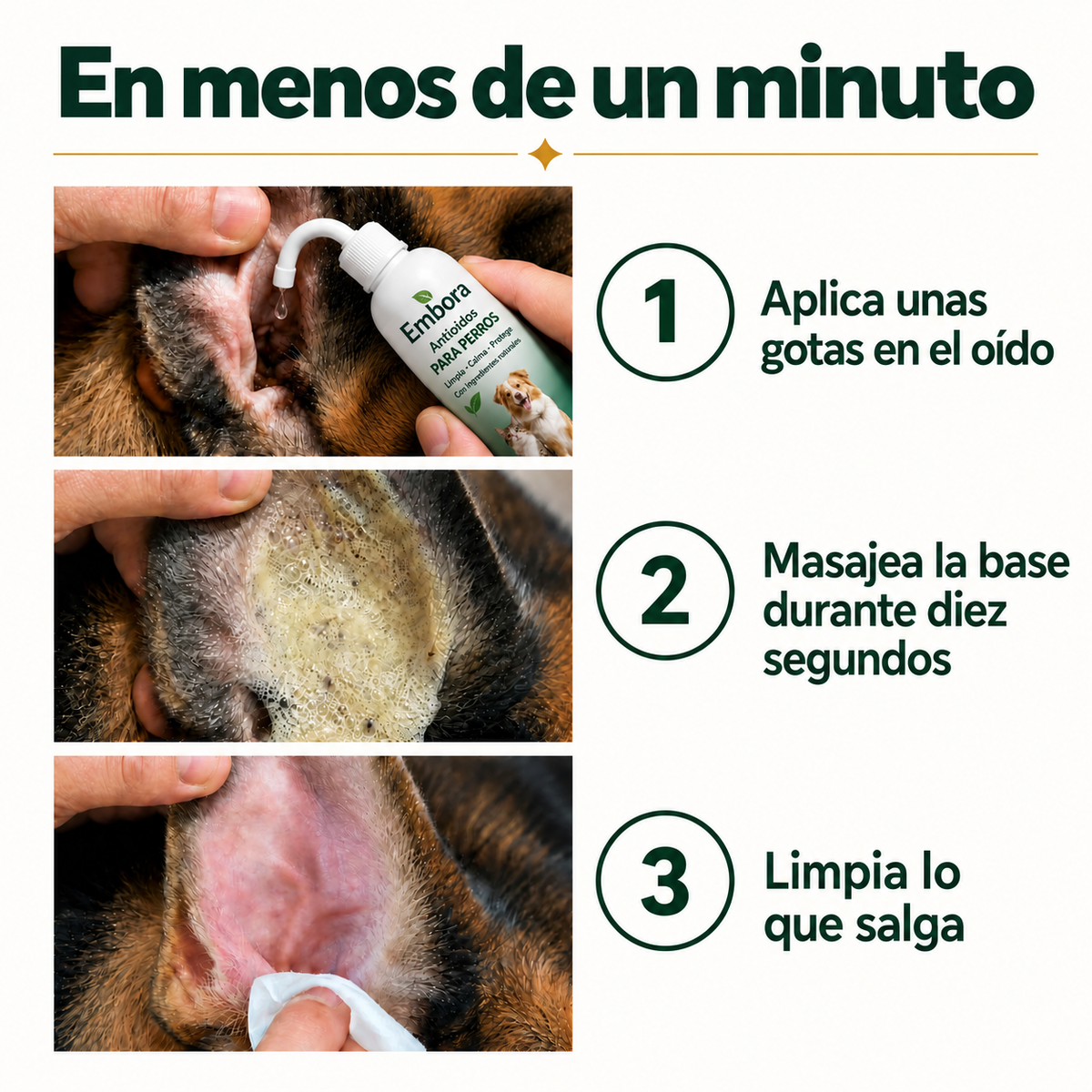 Embora